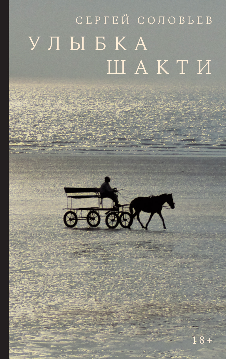 Улыбка Шакти: Роман - Сергей Юрьевич Соловьев