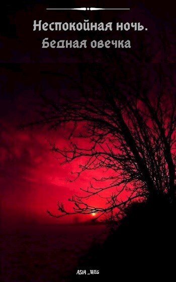 Бедная овечка (СИ) - Полищук