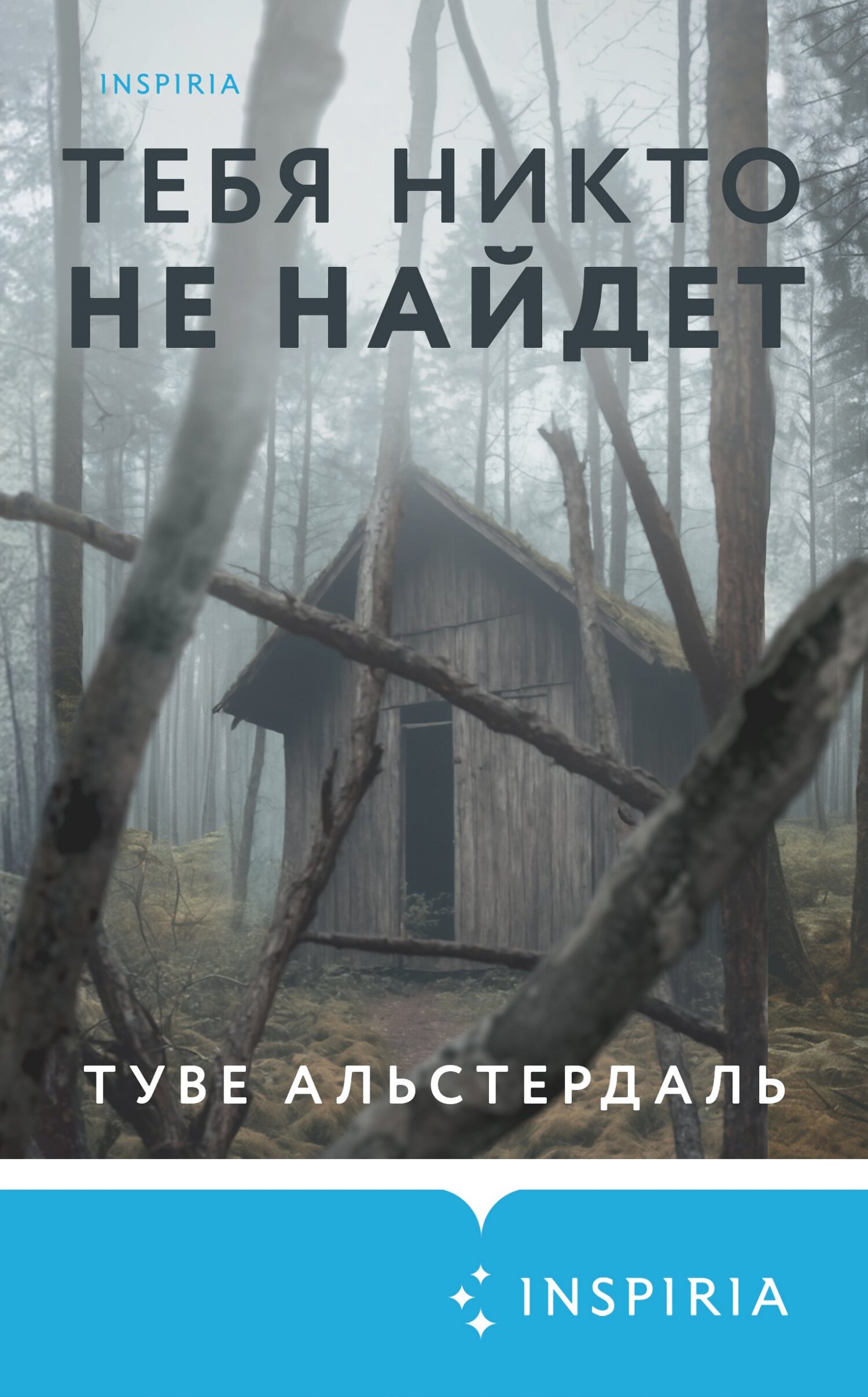 Тебя никто не найдет - Туве Альстердаль