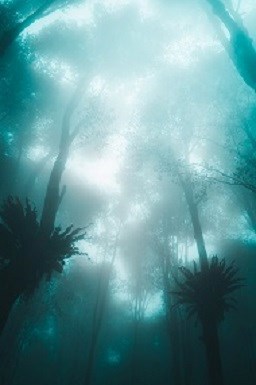 Зельевар. Буйный рост. - Элирио