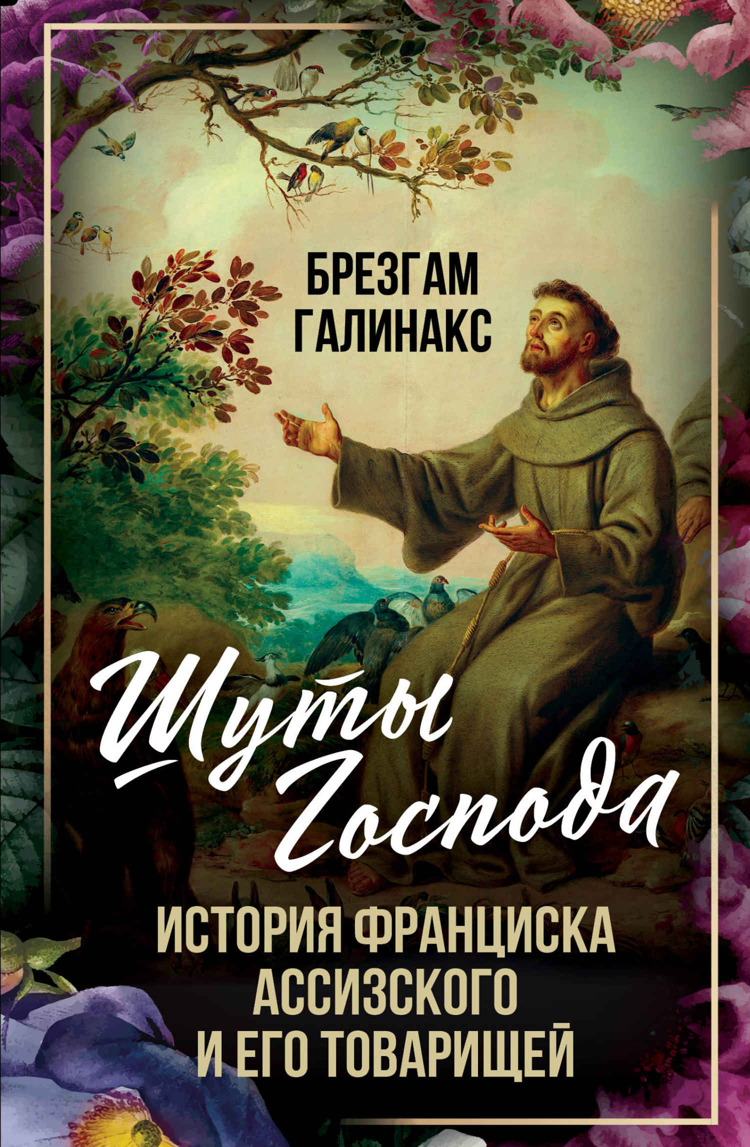 Шуты Господа. История Франциска Ассизского и его товарищей - Брезгам Галинакс