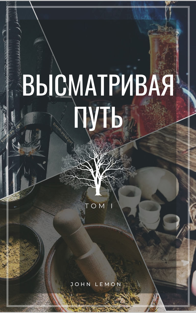 Высматривая путь. Том I (СИ) - John Lemon
