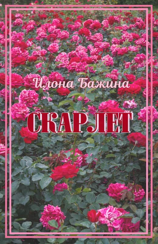 Скарлет - Илона Бажина