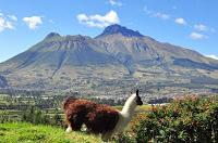 Тучи сгущаются - Лориана Рава