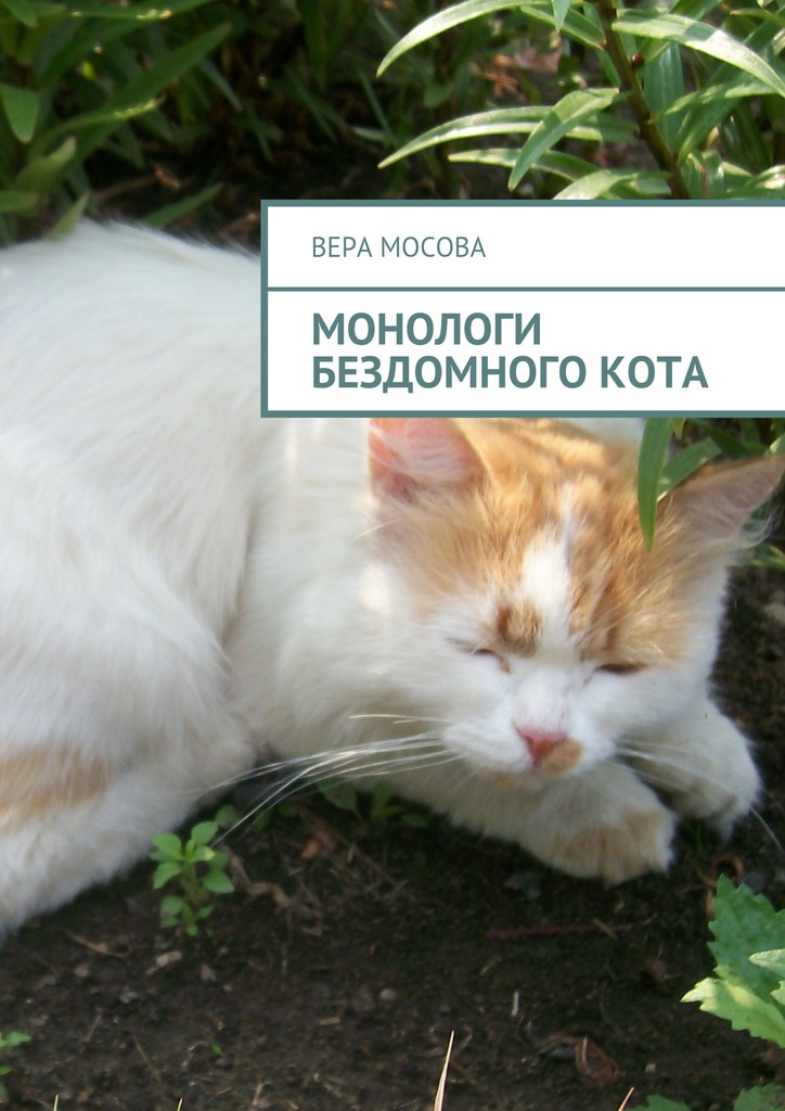 Монологи бездомного кота - Вера Евгеньевна Мосова