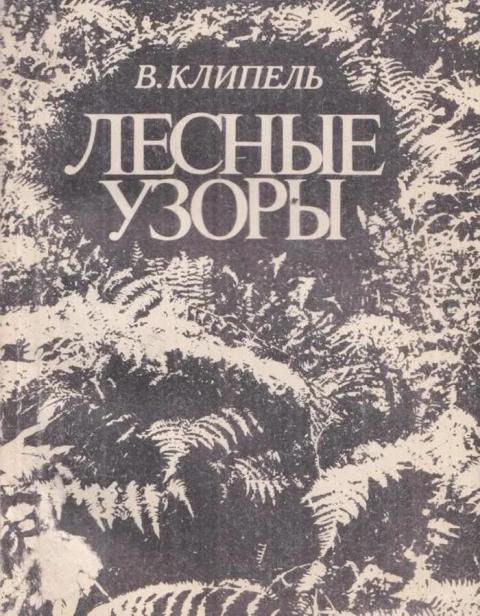 Лесные узоры - Владимир Иванович Клипель