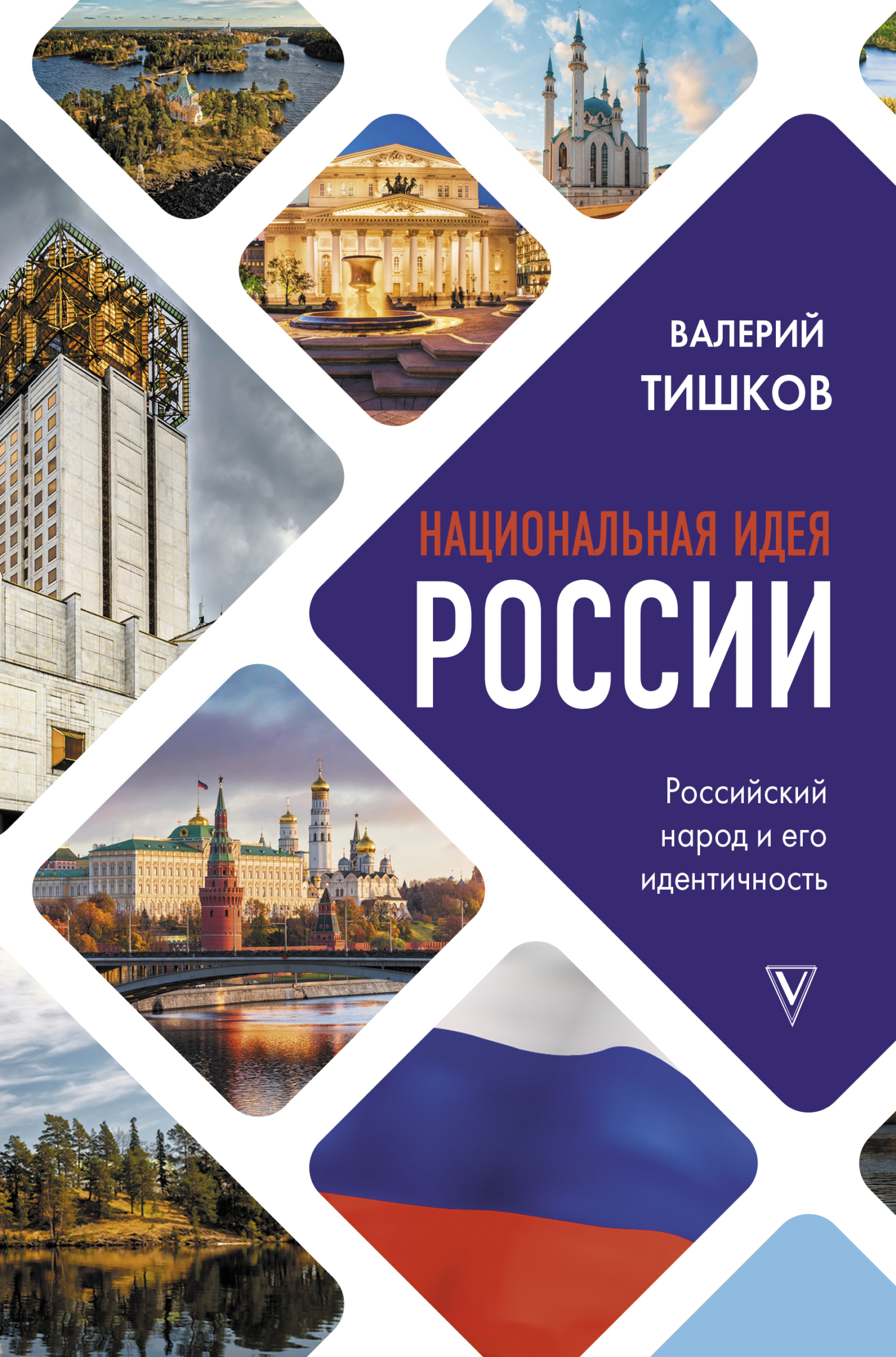 Национальная идея России - Валерий Александрович Тишков