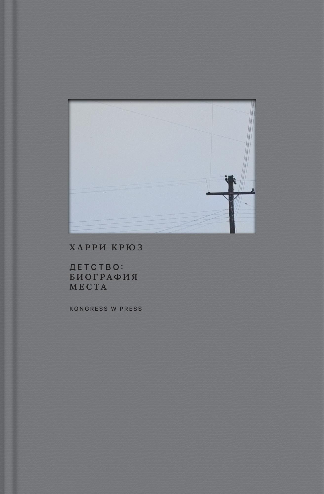 Детство: биография места - Харри Юджин Крюс