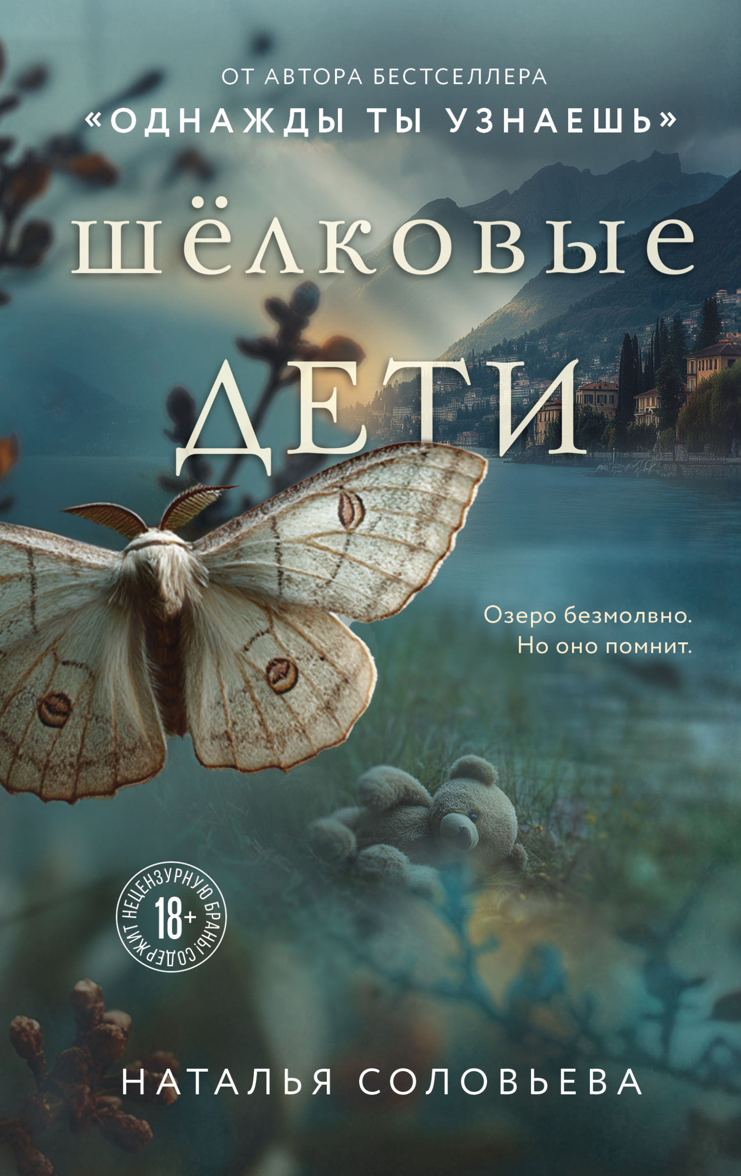 Шелковые дети - Наталья Васильевна Соловьёва