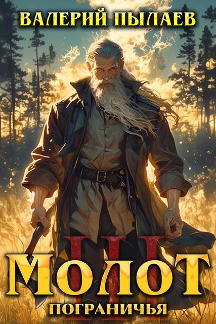 Молот Пограничья. Книга III - Валерий Пылаев