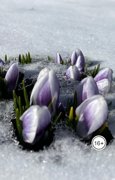 Русский романс - Наталья Гончарова