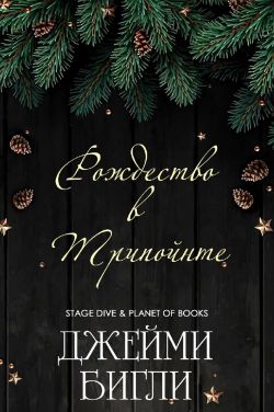 Рождество в Трипойнте - Джейми Бигли