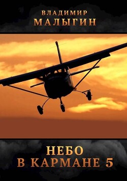 Небо в кармане 5 (СИ) - Малыгин Владимир