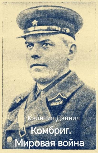Мировая война - Даниил Сергеевич Калинин