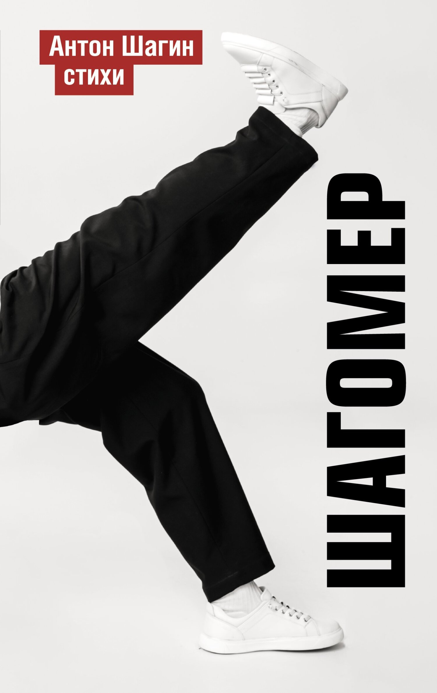 Шагомер - Антон Александрович Шагин