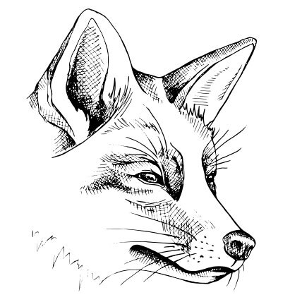 Тотем - Шерил Винд