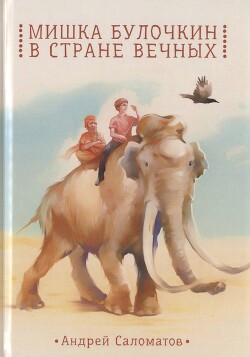 Мишка Булочкин в стране вечных - Саломатов Андрей Васильевич