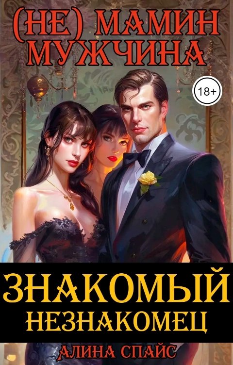 (Не) Мамин мужчина. Знакомый незнакомец - Алина Спайс