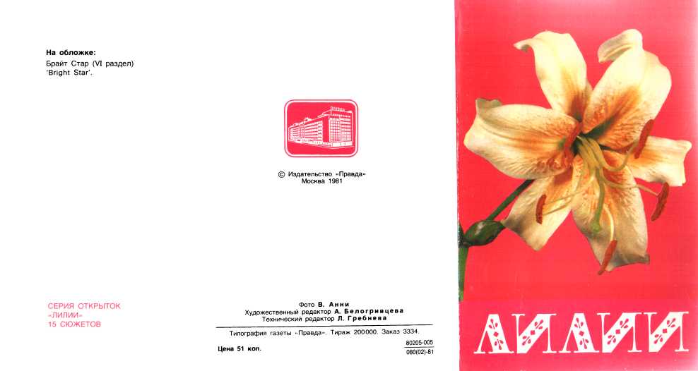 Лилии - Мягкова