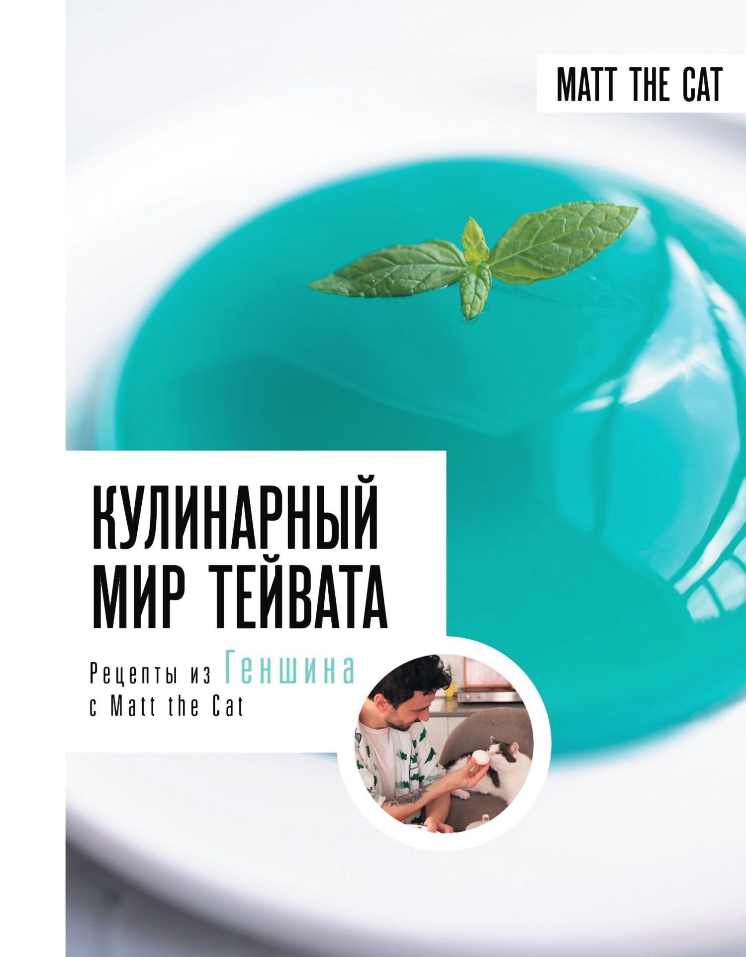 Кулинарный мир Тейвата. Рецепты из Геншина с Matt the Cat - Ярослав Cat
