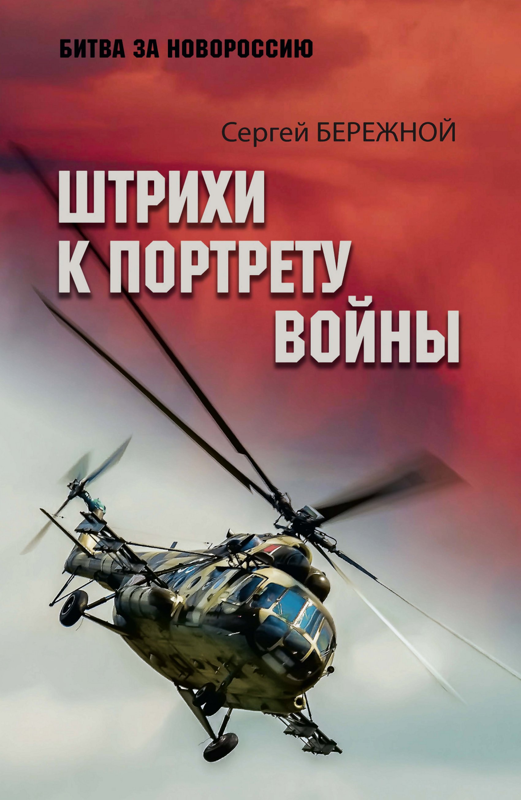 Штрихи к портрету войны - Сергей Александрович Бережной