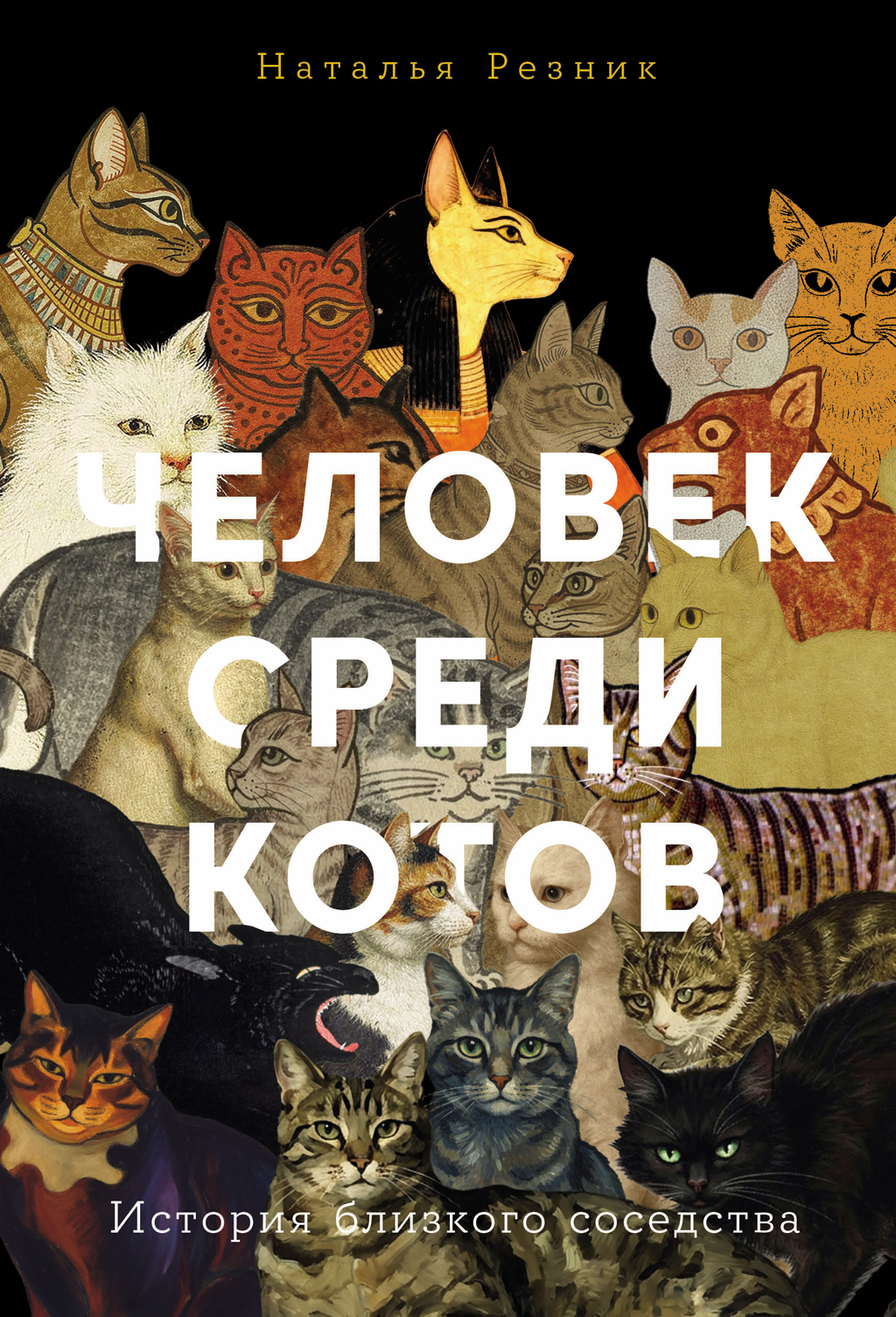 Человек среди котов: История близкого соседства - Наталья Резник