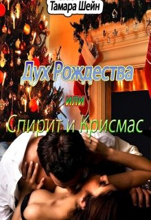 Дух Рождества или Спирит и Крисмас - Тамара Шейн