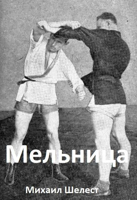 Мельница 3 - Михаил Васильевич Шелест