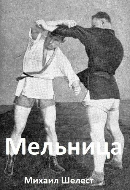 Мельница 4 - Михаил Васильевич Шелест