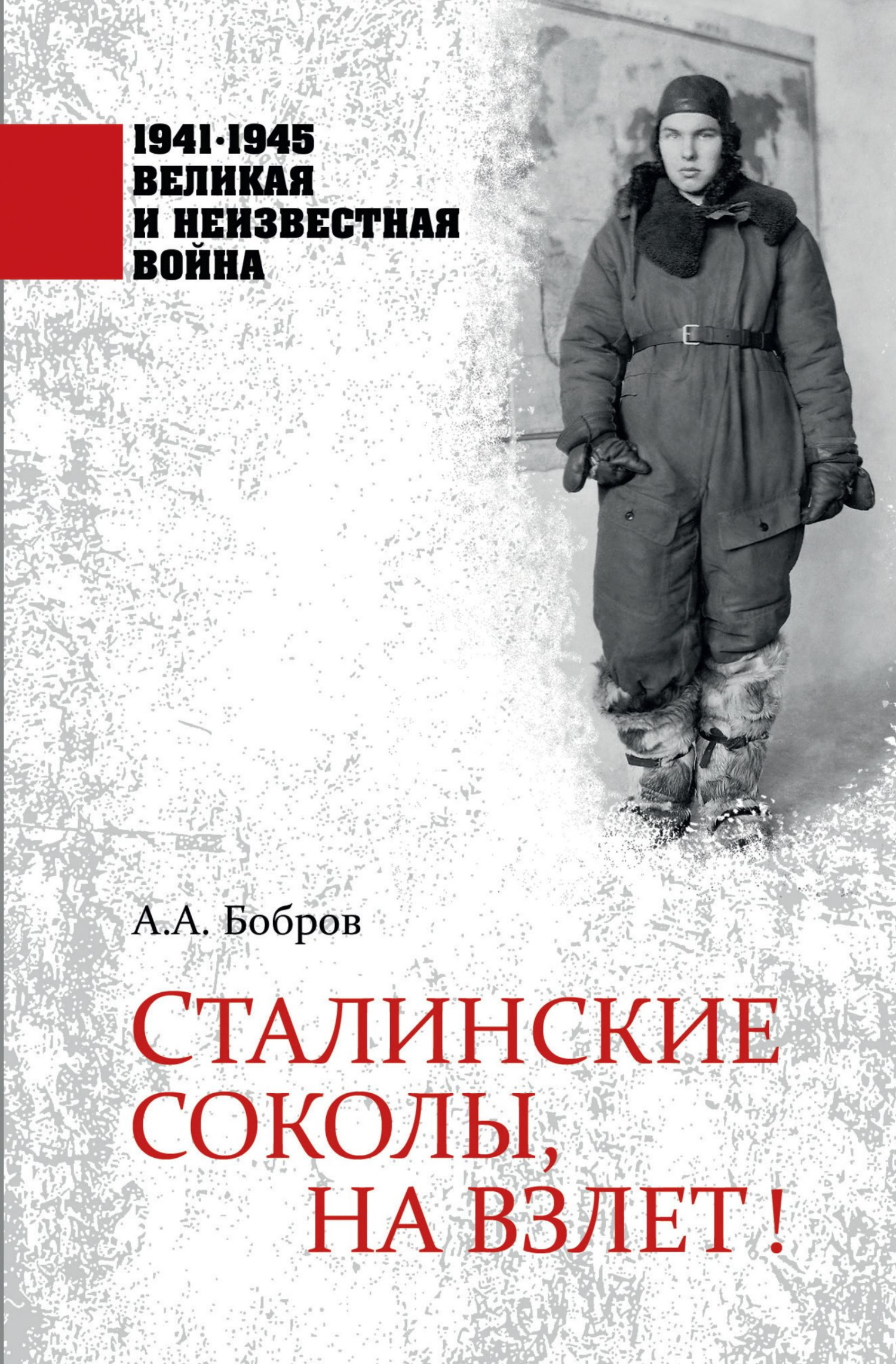 Сталинские соколы, на взлет! - Александр Александрович Бобров