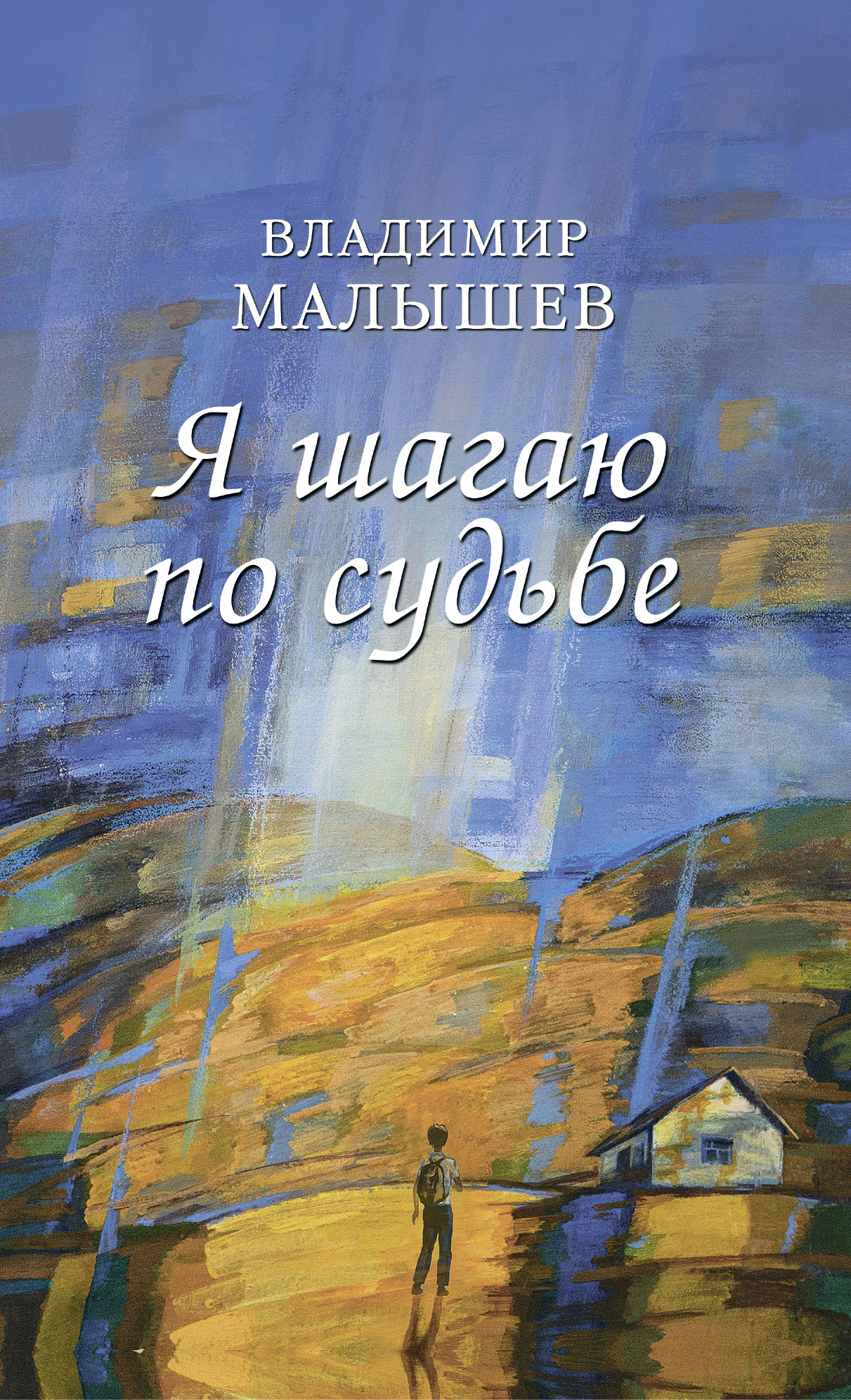 Я шагаю по судьбе - Владимир Сергеевич Малышев