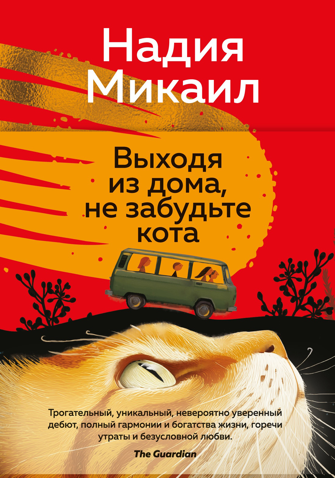 Выходя из дома, не забудьте кота - Надия Микаил