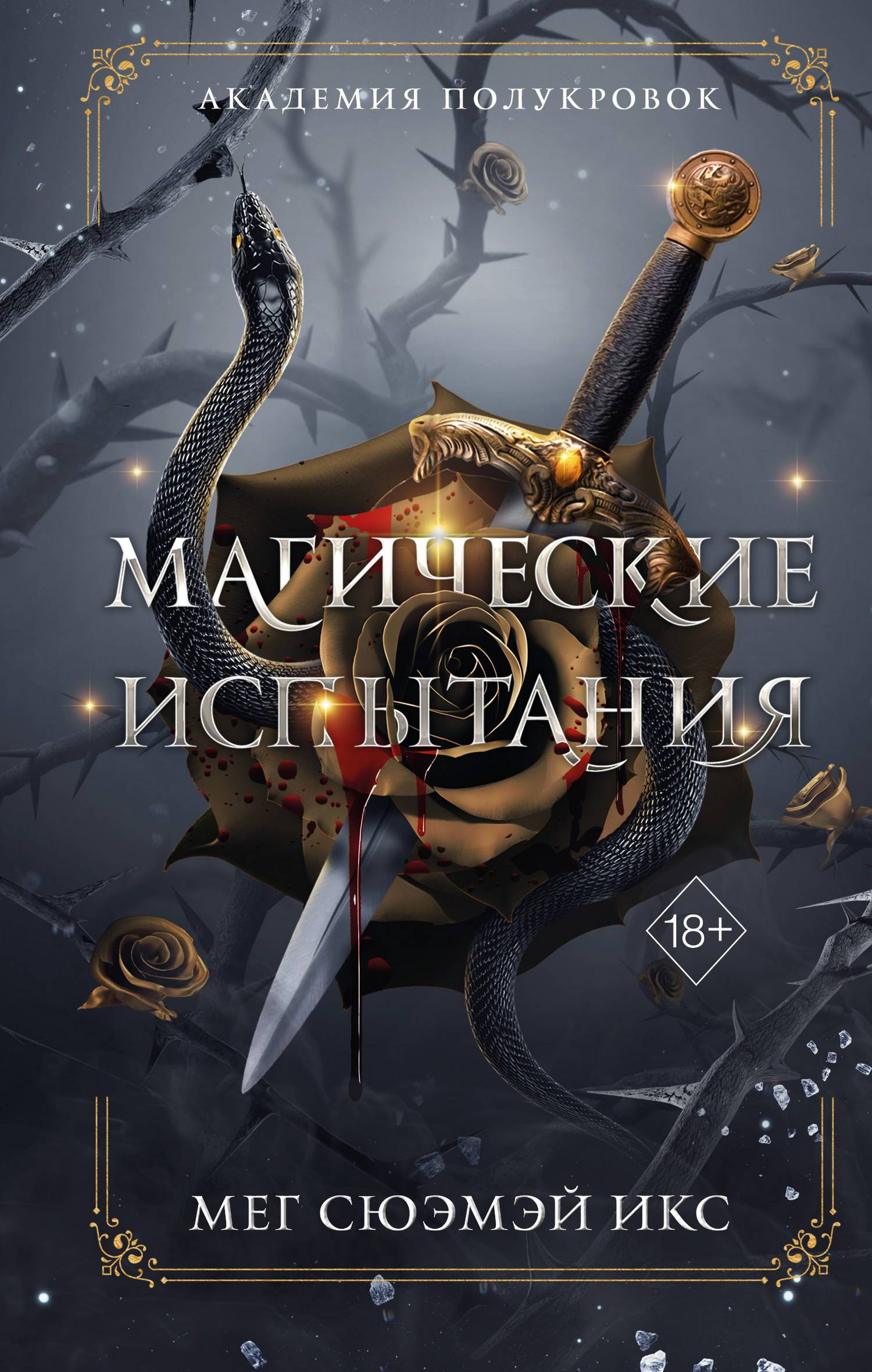 Магические испытания - Мег Сюэмэй Икс