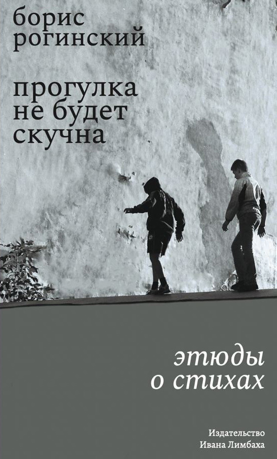 Прогулка не будет скучна - Борис Рогинский